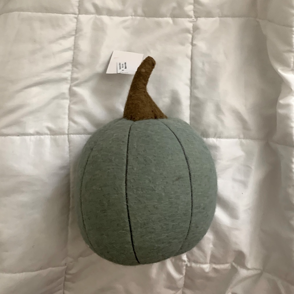 NWT Pumkin cotton decor